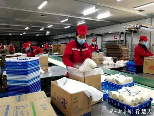 菌菇日产将达130吨,武汉各类农产品产能强势复苏